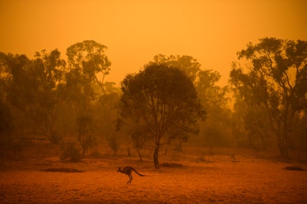 A kangaroo jumps in bushland surrounded by smoke haze in Canberra on 5 January 2020.