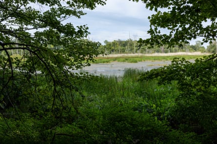 A wide stream with fields on either side