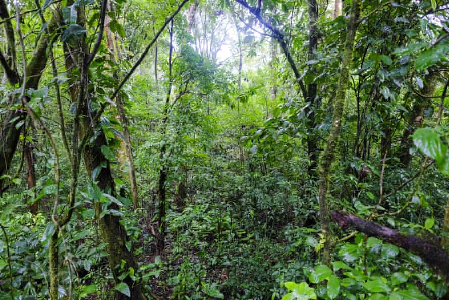 Environmental policies are ‘the dominant DNA’ of Costa Rica, says Alvarado.