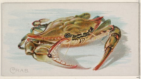 An 1889 lithograph of a crab