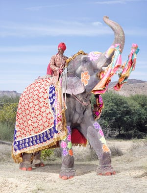 The Extraordinary Painted Elephants Of India In Pictures Art