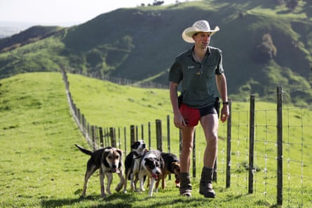 Clayton walks fence lines with his dogs.