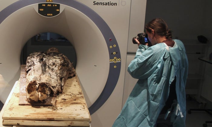 Fully Dressed And Preserved 350-Year-Old Corpse Of French Noblewoman Found  | France | The Guardian