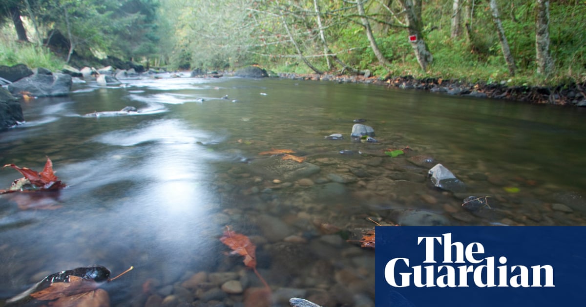 Artist’s impression of the Trump administration being outperformed by a salmon swimming upstream against both dams and deregulation.