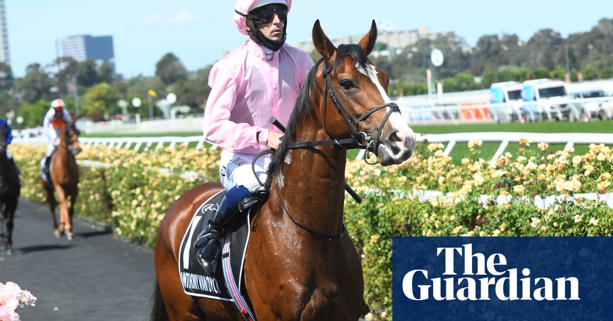 Talking Horses: Melbourne Cup angst at fatalities among overseas raiders