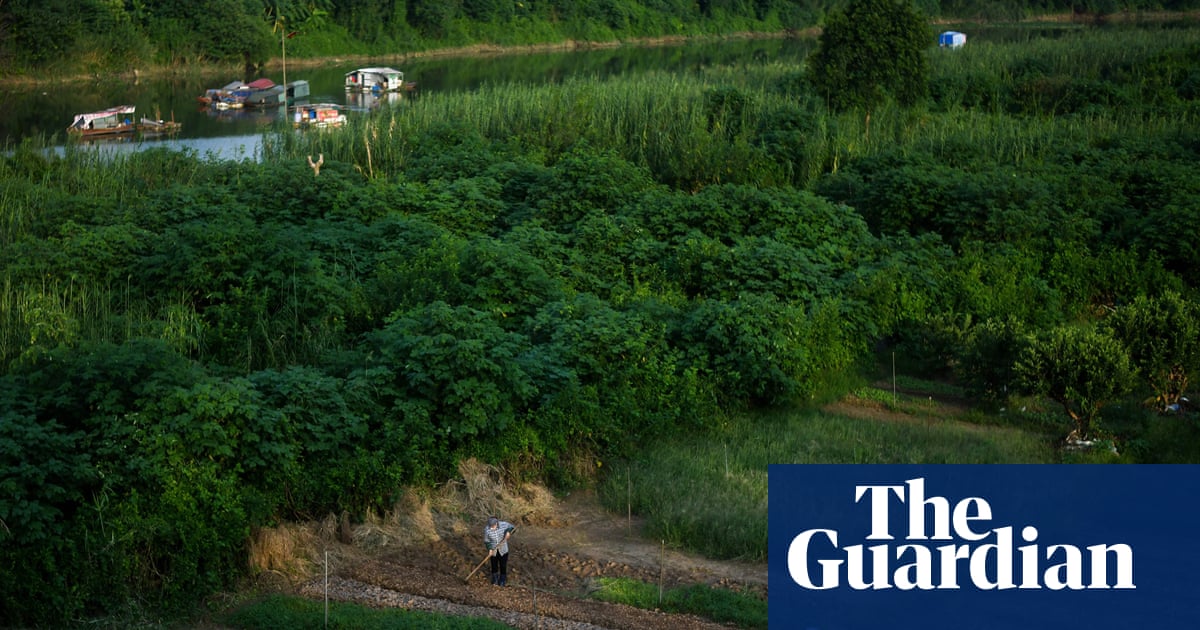 Superbug hotspots emerging in farms across globe – study