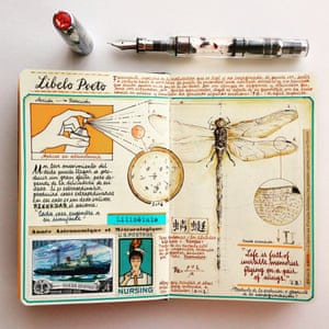 Illustrated notebooks by artist José Naranja