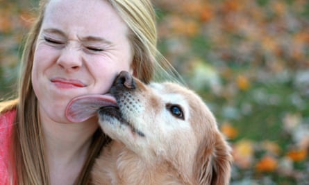 A dog licking its owner