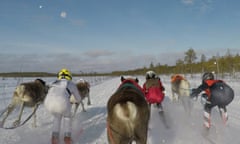Reindeer race, Inari, Finland.