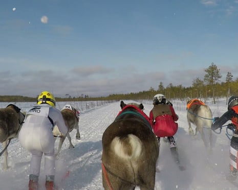 Reindeer race, Inari, Finland.