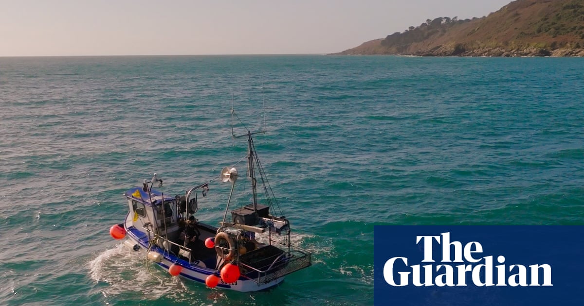 Kites and floating scarecrow cut seabird deaths in Cornish fishing trial