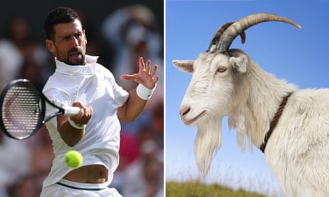 Novak Djokovic and a Goat