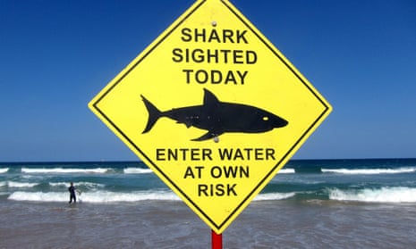 A shark warning sign on an Australian beach