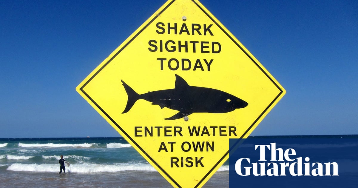 NSW government department 'refusing' to publish community feedback on shark nets