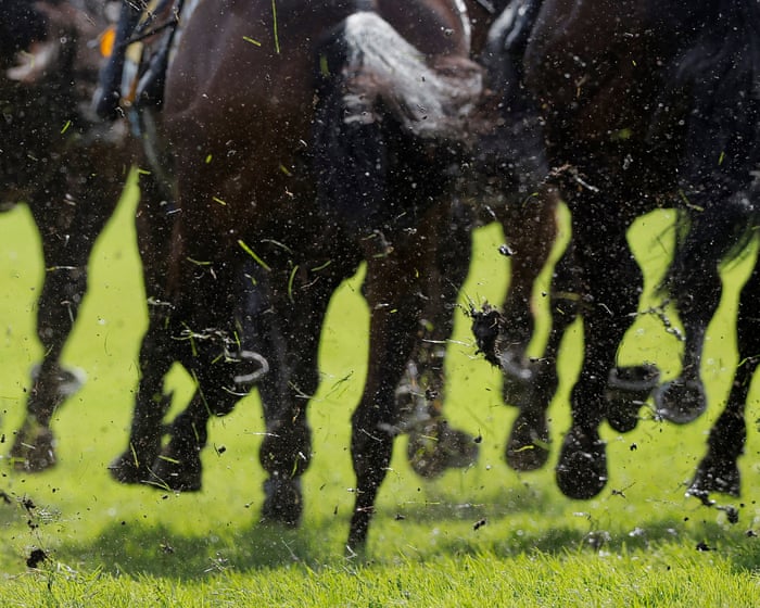 Talking Horses: Alphonse Le Grande hoping to buck the trend in Cesarewitch
