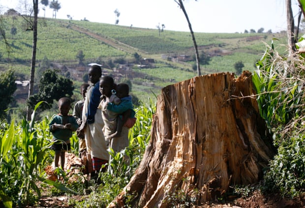 Children stand near tree stump