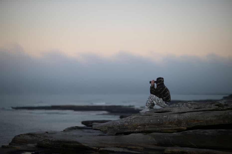 Veteran whale watching volunteer Wayne Reynolds scans the ocean.