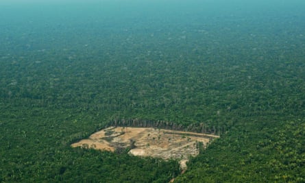 Deforestation in the Brazilian Amazon.