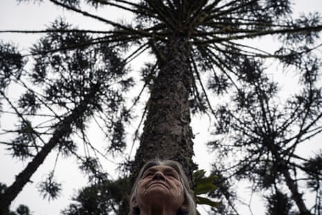 Una mujer de unos 70 años se encuentra bajo un árbol alto, fotografiada desde un ángulo bajo.