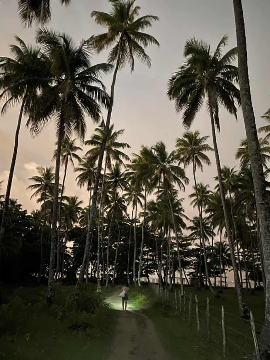 A woman illuminates her path with a flashlight as she walks under coconut trees in Boipeba Island, Brazil