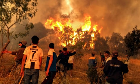 Villagers attempt to put out a wildfire in the Kabylie region of Tizi Ouzou, Algeria, on 11 August.