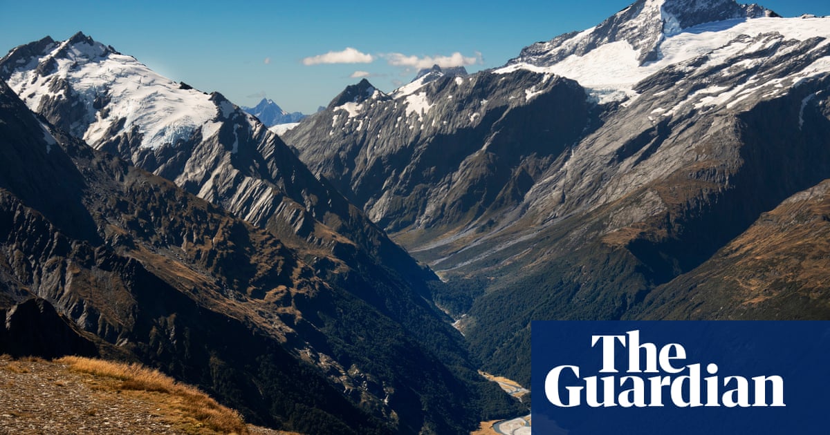 Big opportunity, little interest: New Zealand struggles to fill dream job protecting wildlife