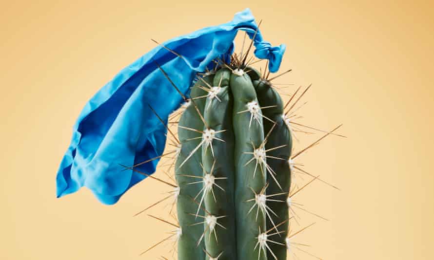 a torn balloon mounted on a cactus
