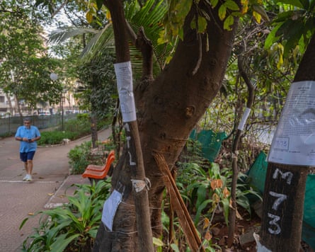 Printed notices taped to trees in a park, with qa man walking alongside