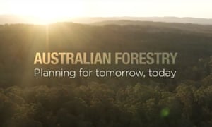 A screenshot from the department of agriculture video Australian Forestry: planning for tomorrow, today
