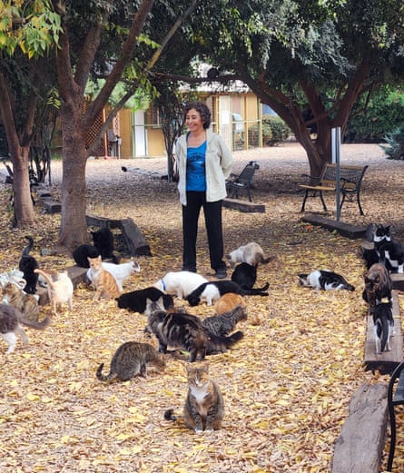 A woman stands in a yard surrounded by cats