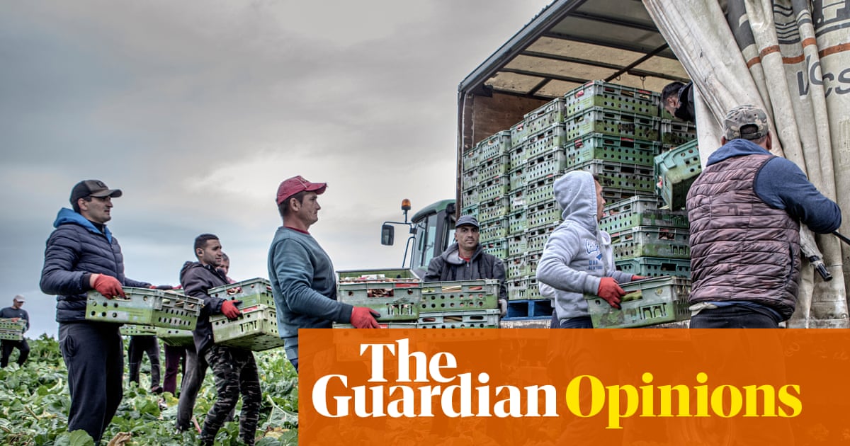 The EU gave Romania's migrant workers the chance to build a new life. Why are they turning against it? | Raluca Besliu