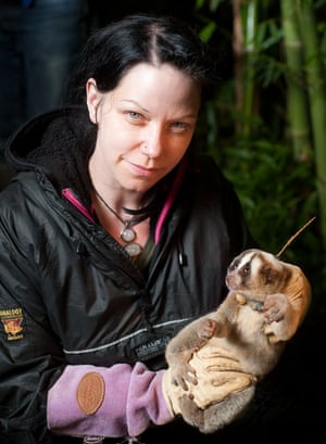 Anna Nekaris holds a slow loris.