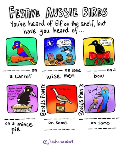 Festive Aussie Birds