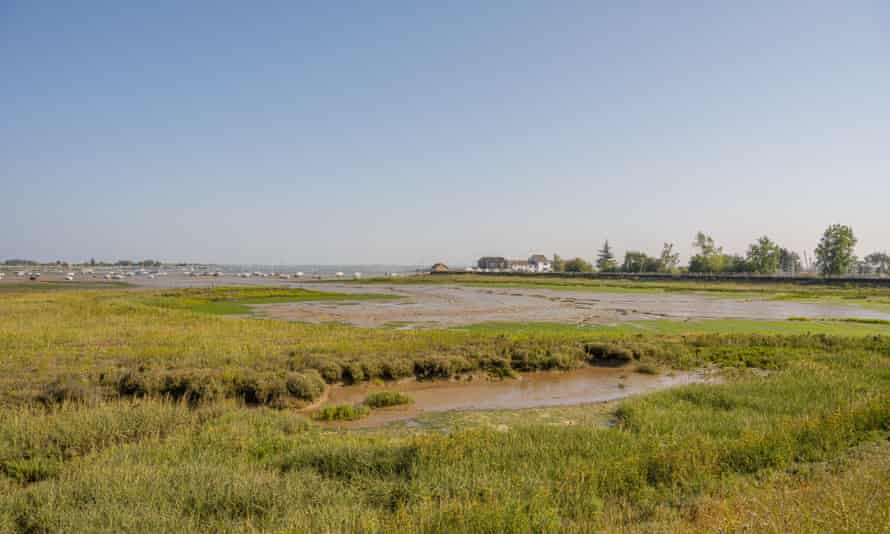 Salt marshes at Heybridge Basin looking across the River Blackwater.