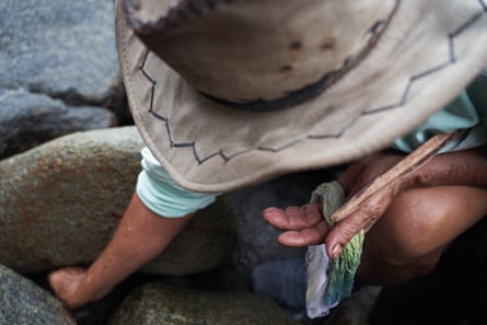 A man reaches into a crevice in the rocks
