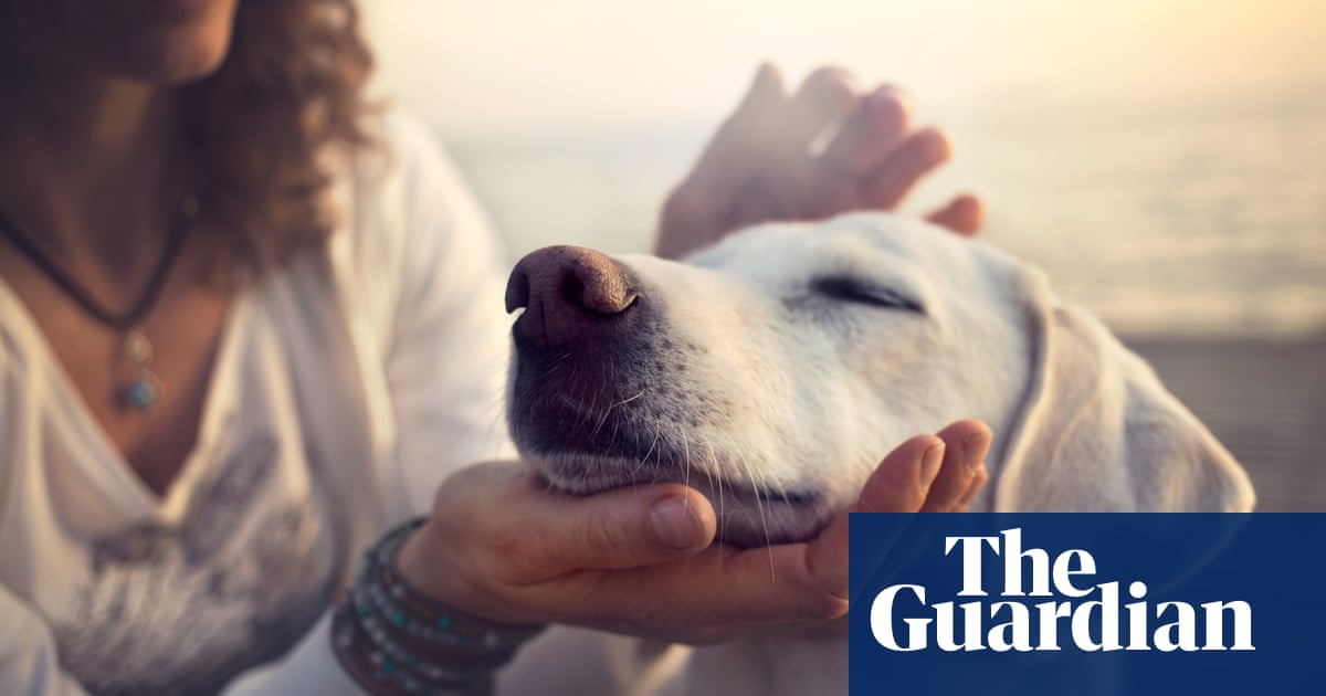 Dog owners can be as close to their pets as to their children, study shows