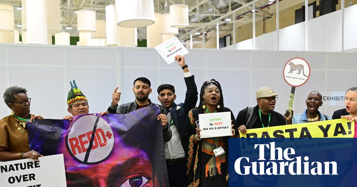Biodiversity Cop17 seems to be stalling. Is it time to reform the process?