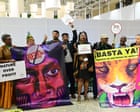 Biodiversity Cop17 seems to be stalling. Is it time to reform the process?