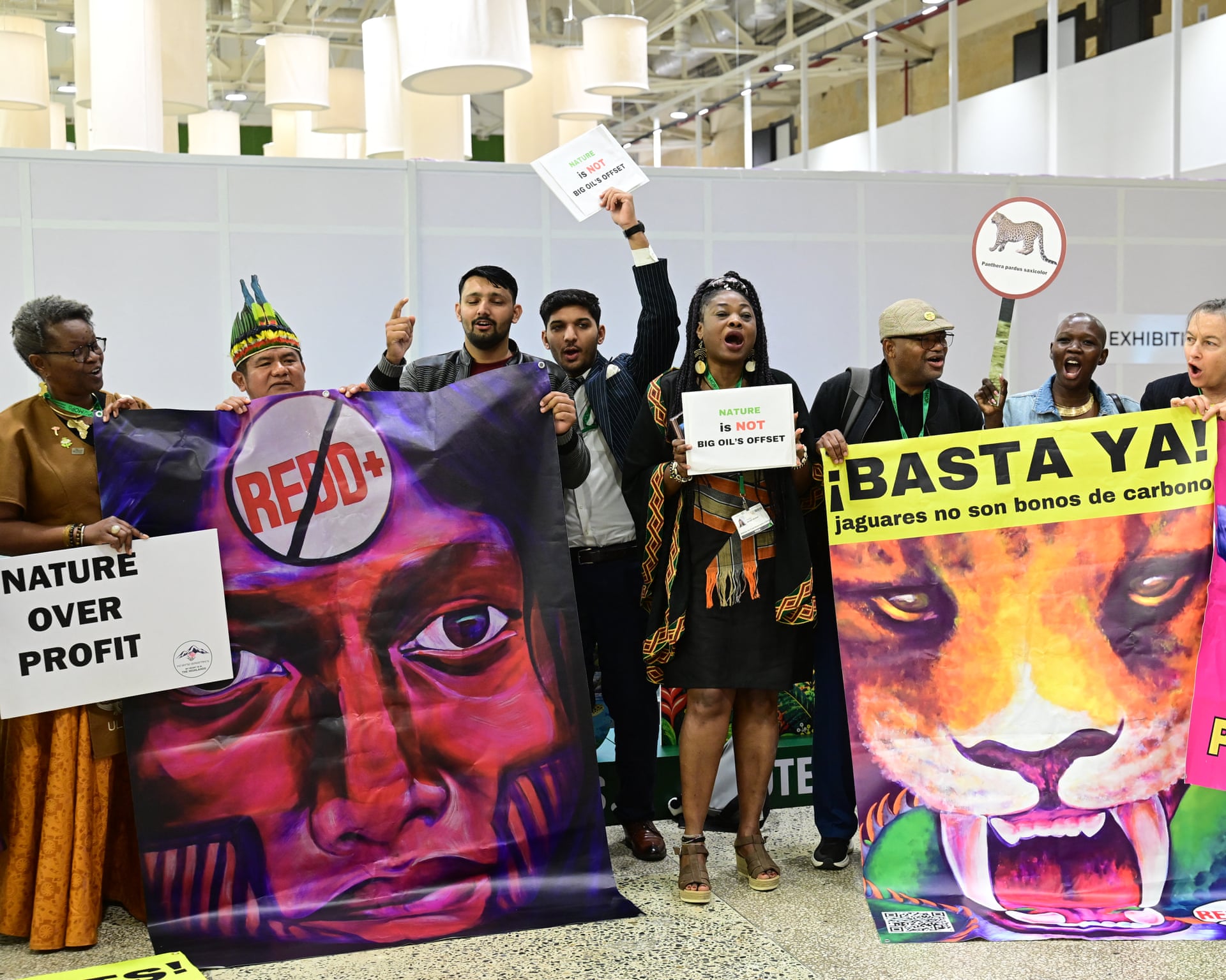 Photo: Theguardian COP17 Delegates Face Financial Stalemate Over Biodiversity Funding
