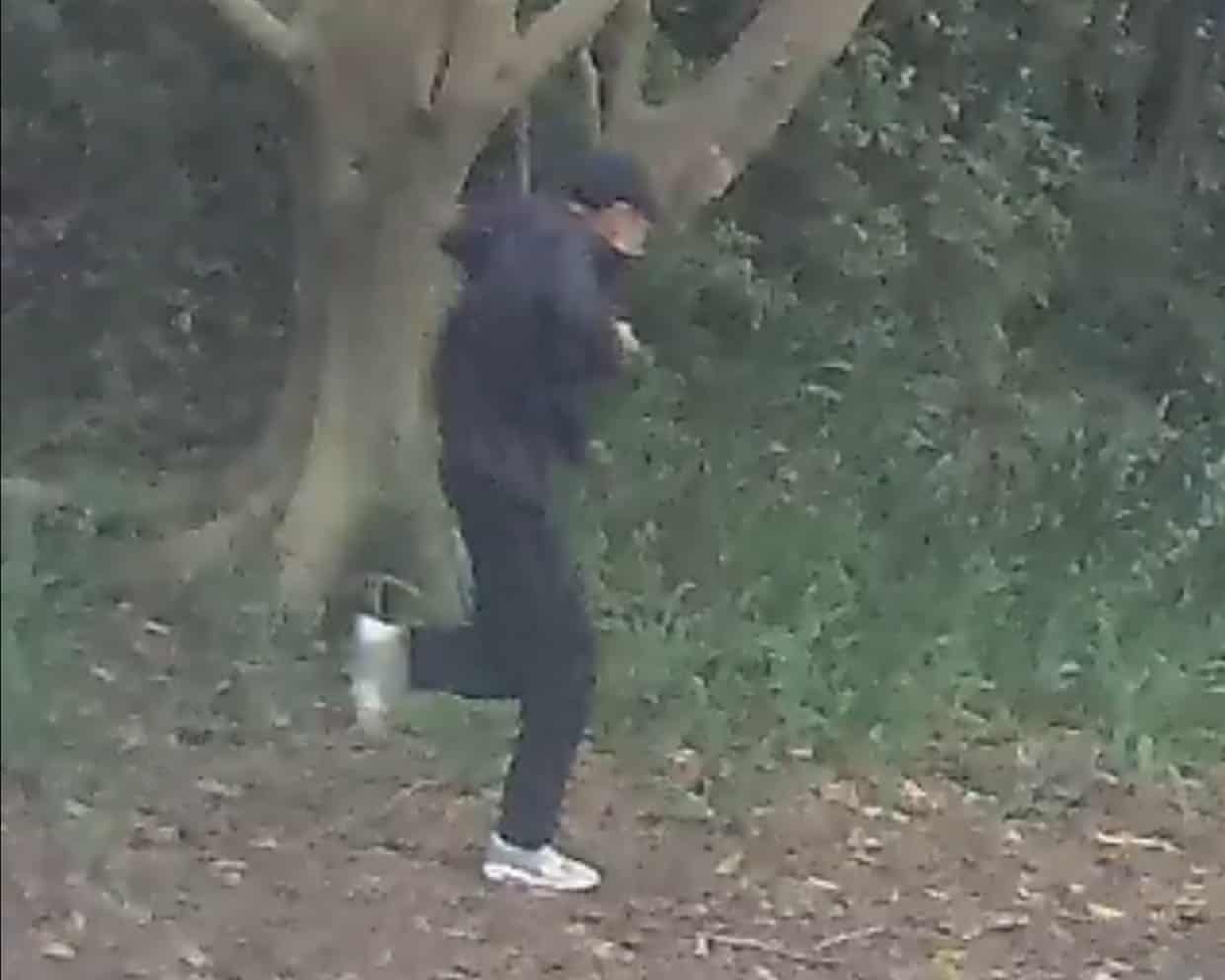 Polis Dulwich Hill ərazisində telefonu və ya avtomobil kamerası görüntüsü olan hər kəsi müraciət etməyə çağırırdı. Kompozit: NSW Polis Qüvvələri Facebook vasitəsilə