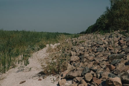Saplings cover the former reservoir bed