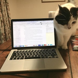 Owen’s cat Lyra.