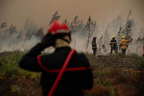 Οι πυροσβέστες ψεκάζουν νερό κατά μήκος της άκρης ενός δάσους κατά τη διάρκεια πυρκαγιάς