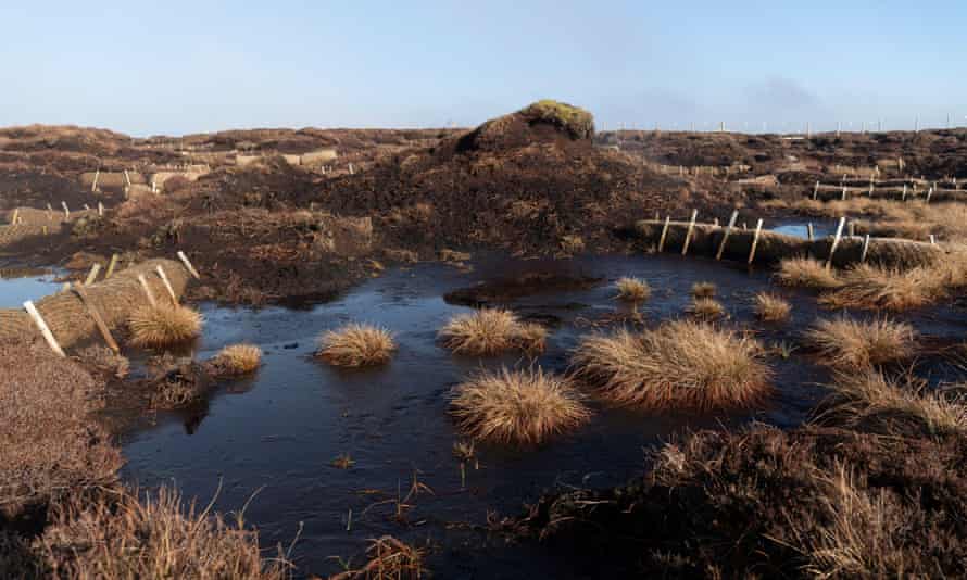 A peat bog restoration programme in North Yorkshire, UK, using coconut fibre to slow erosion. Peat soils in England store 584m tonnes of carbon.