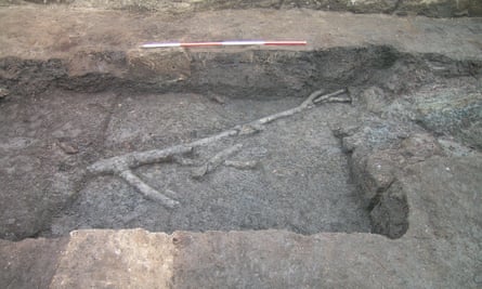 Britain’s oldest house, found at an early Mesolithic site at Star Carr, Britain.