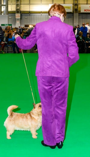 Woman in purple suit with dog at Crufts dog show 2019