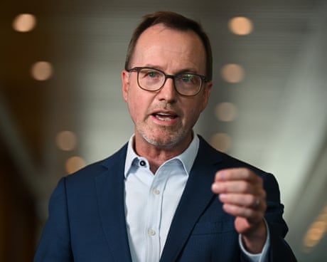 Shoebridge criticises Labor for delayed AI policy – as it happened