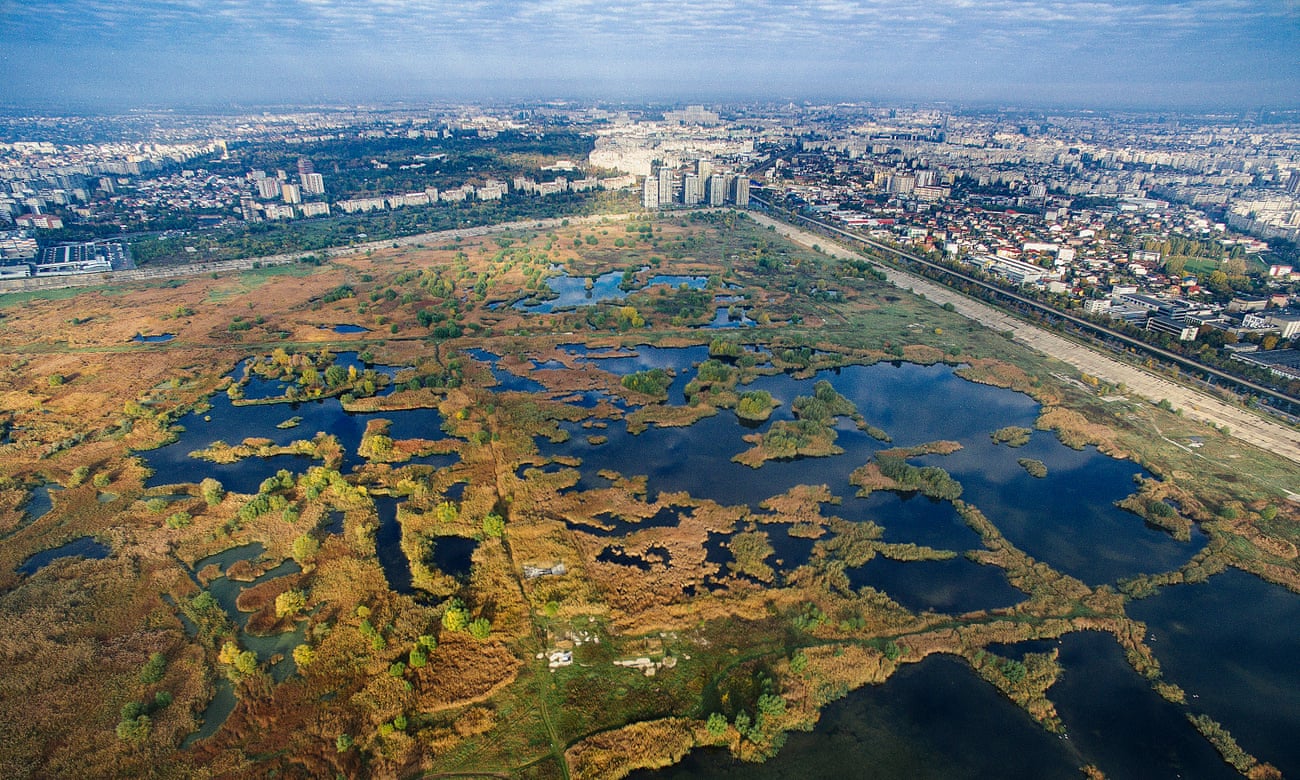 Lake Văcărești was part of former president Nicolae Ceaușescu’s plan to connect Bucharest to the river Danube.