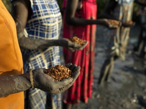 As mulheres seguram punhados de arroz e se preparam para espalhá-lo em suas terras recém-limpas