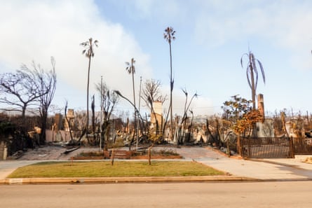 Burnt trees and debris of burned homes.